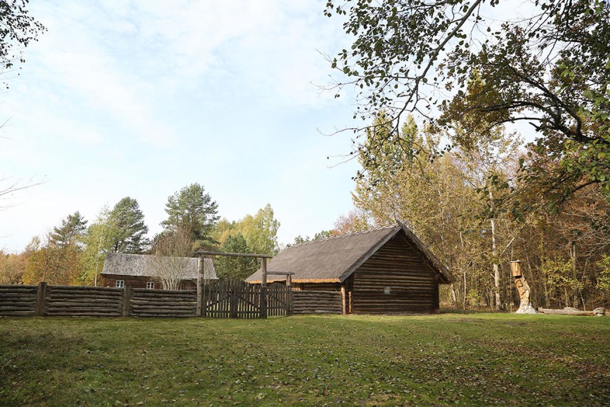 Крыніца ілюстрацыі: http://kolasmuseum.by/be/filijaly-muzieja/albuc