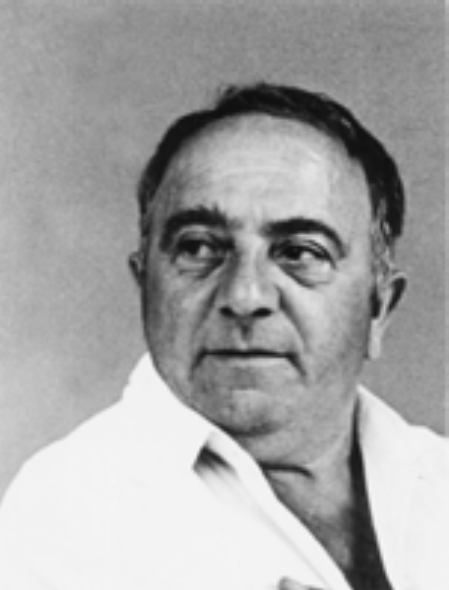 Тэйф Майсей Саламонавіч