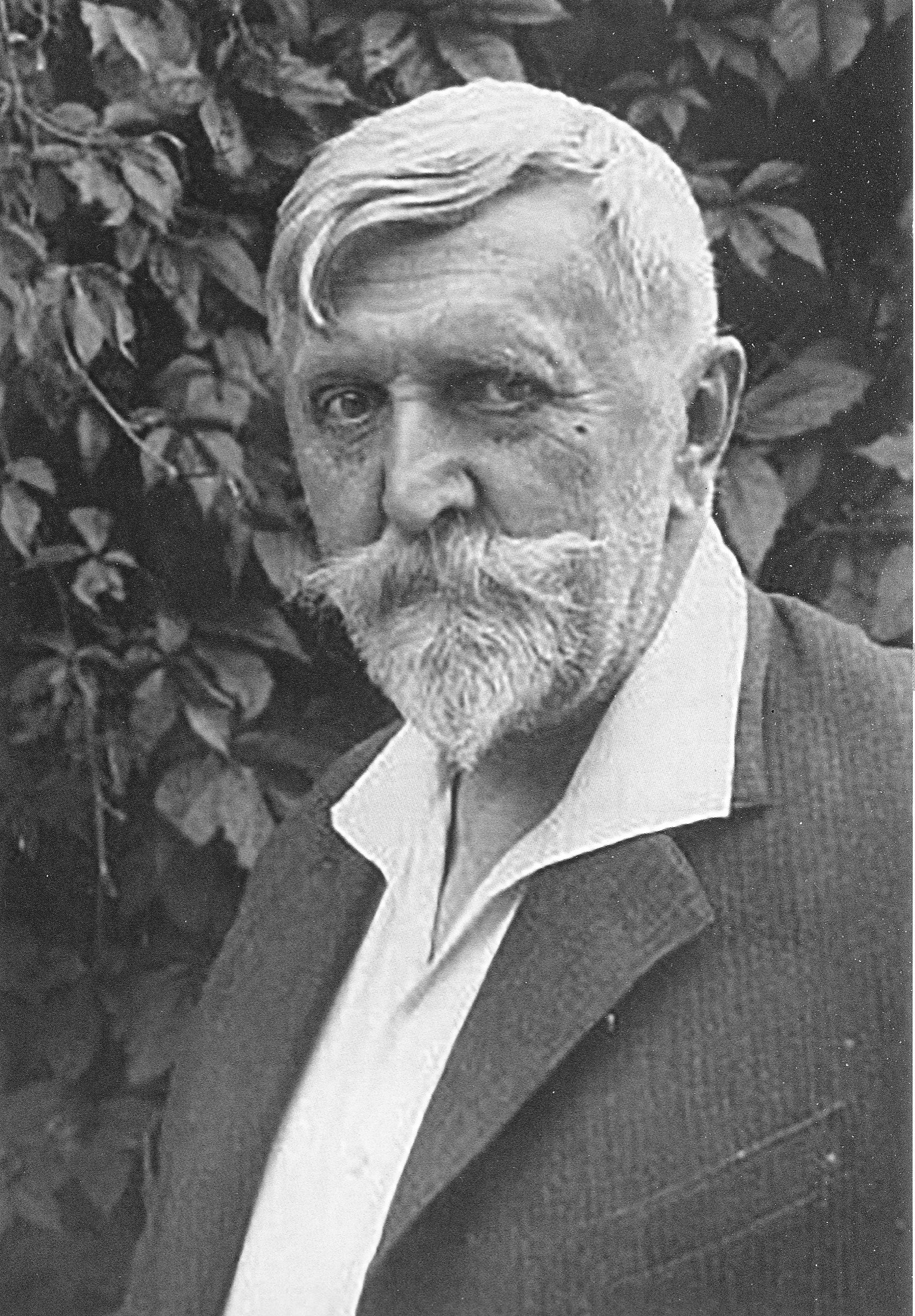 Крыніца ілюстрацыі: Фердынанд Рушчыц — грамадзянін незалежнай = Ferdynand Ruszezye obywatel niepodległej / Эльжбета Інеўска ; пераклад [з польскай]: Ганна Цішук ; консультант: Ала Макарэвіч. – Мінск, 2019. – С. 119.