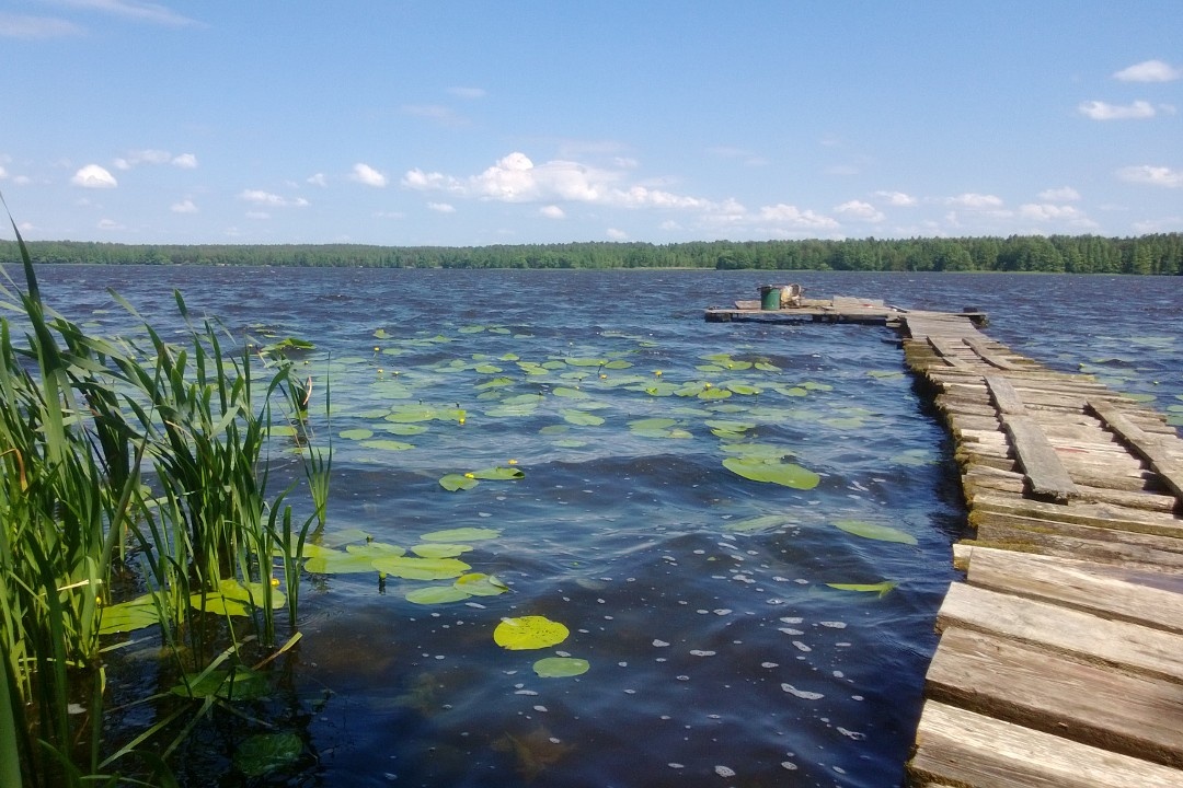 Крыніца ілюстрацыі: https://library.mogilev.by/touristmap/region-kirovsk/nature.html#opentop