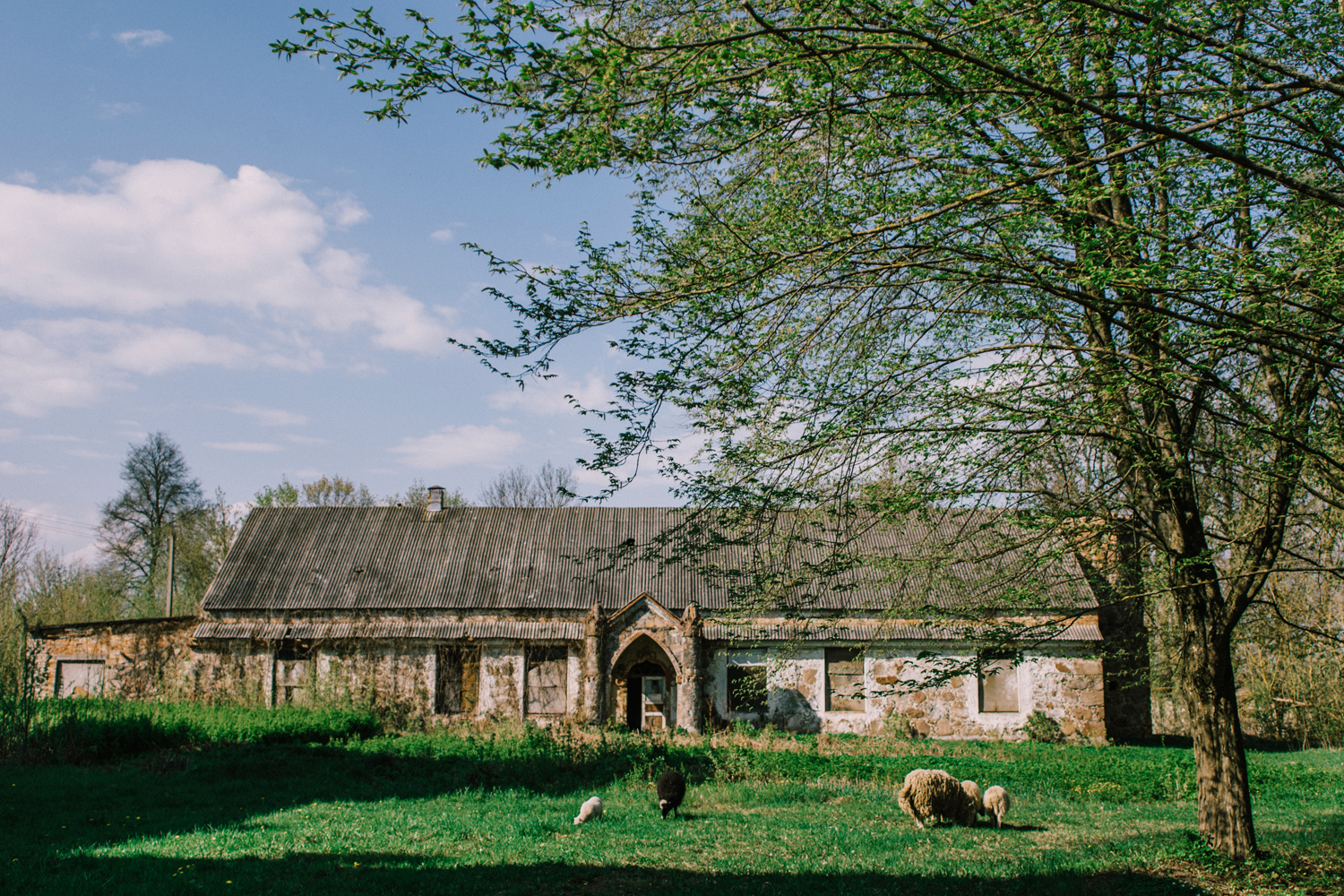 Флігель. Крыніца ілюстрацыі: https://34travel.me/gotobelarus/post/zheludok