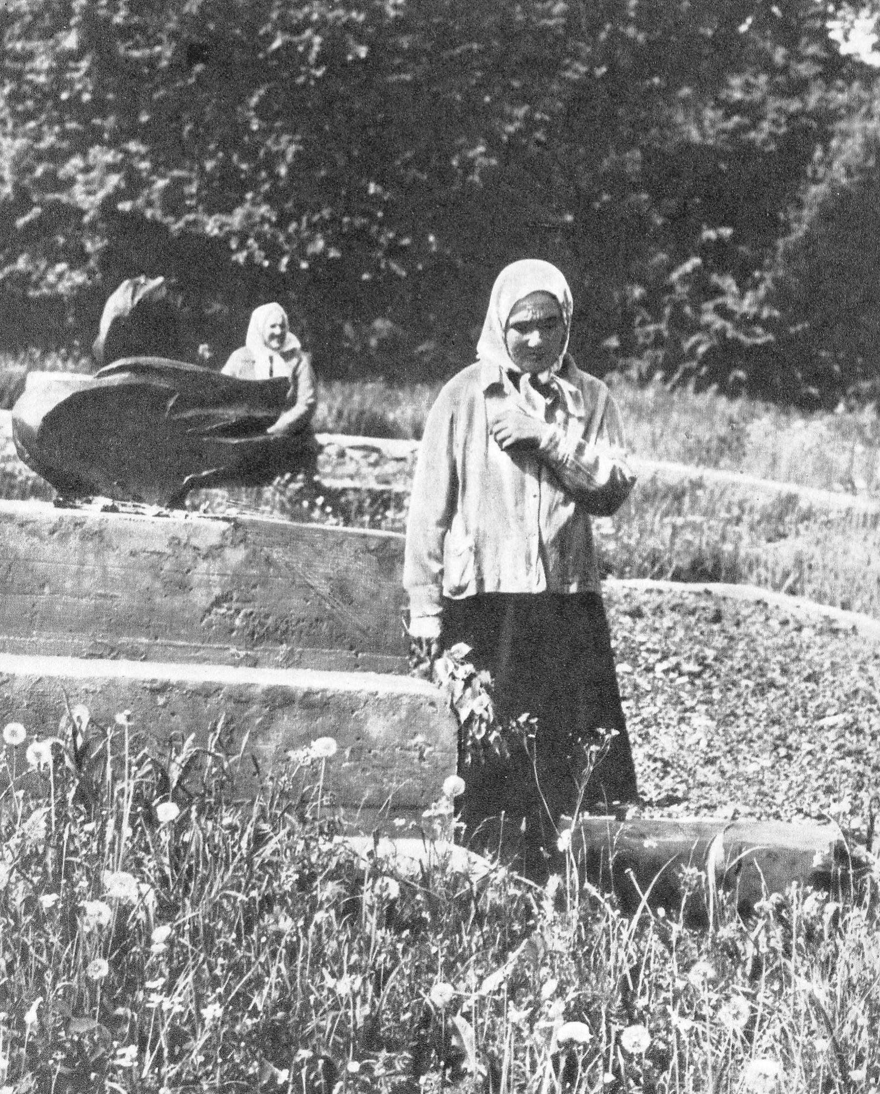 Наведвальнікі мемарыяльнага комплексу "Шунеўка" – жывыя сведкі падзей Вялікай Айчыннай вайны. Крыніца ілюстрацыі: Шунеўка = Шуневка : Мемарыяльны комплекс : [фотаальбом / фота В. А. Сліжа ; тэкст О. А. Ягоравай, К. К. Плігаўкі]. – Мінск, 1985. – С. 20.