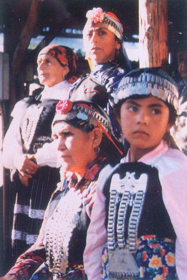 Сучасныя індзейцы-арауканцы з мясцовасці Ніева-Імперыял. Крыніца ілюстрацыі: Ignacio Domeyko : la vida y la obra / Zdzisław Jan Ryn ; Academia Polaca de Ciencias y Artes ; Universidad Jaguelona ; Universidad Técnica de Minería y Fundición. – Kraków, 2014. – С. 3 уклейкі паміж с. 566–567. 