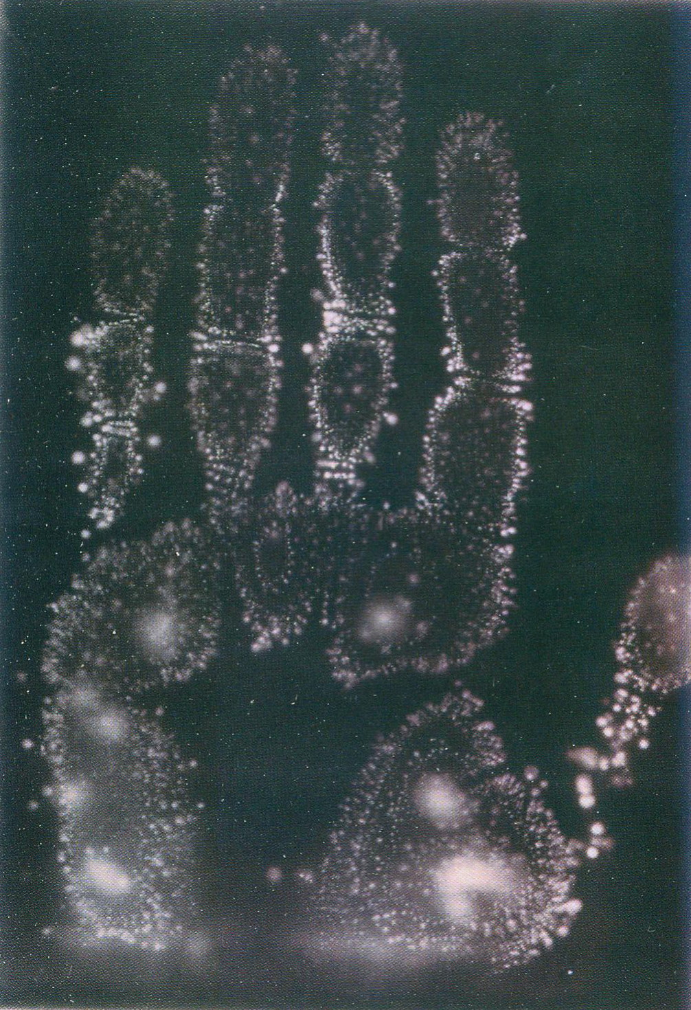 Сканіраваны адбітак з арыгінала электраграфіі Я. Наркевіча-Ёдкі рукі французскага астранома Каміля Фламарыёна (канец ХІХ ст.). Крыніца ілюстрацыі: Я. О. Наркевіч-Ёдка ў творах мастакоў і фотамайстроў [Выяўленчы матэрыял] / [укладанне, прадмова У. Кісялёва]. – [Б. м. : б. в., друк 2008] (Мінск : Друк-С). 