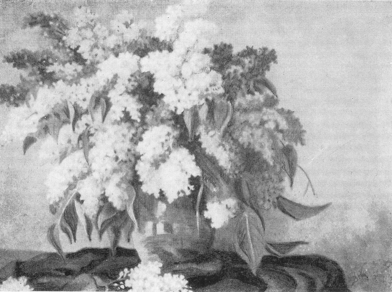 Бэз (1952). Крыніца ілюстрацыі: Уладзімір Мікалаевіч Кудрэвіч [Выяўленчы матэрыял] / аўтар тэксту Ф. Лейтман. – Мінск, 1958. – С. 38. 