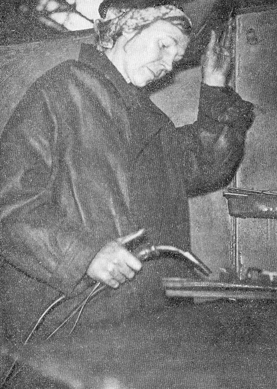 Электрогазосварщица Г.П. Мягкова. Источник иллюстрации: Их адрес – Минский тракторный / П. П. Глинкин. – Минск, 1975. – С. 14. 