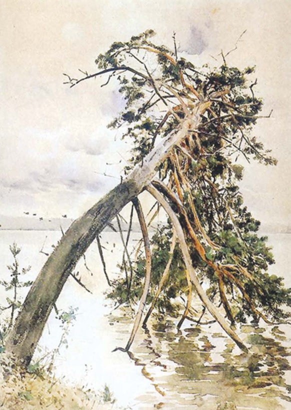 Возера Свіцязь (1888). Крыніца ілюстрацыі: Культура. – 2013. – 10 жніўня (№ 32). – С. 15.