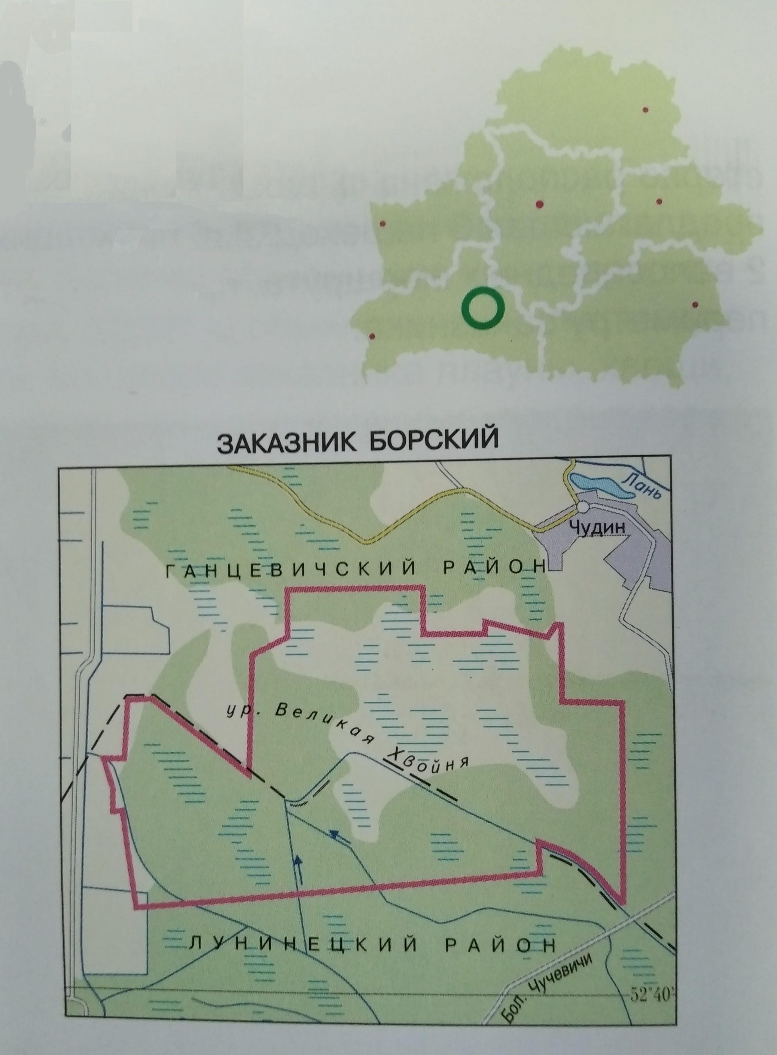 Крыніца ілюстрацыі: Заповедные территории Беларуси. – Минск, 2008. – С. 74. 
