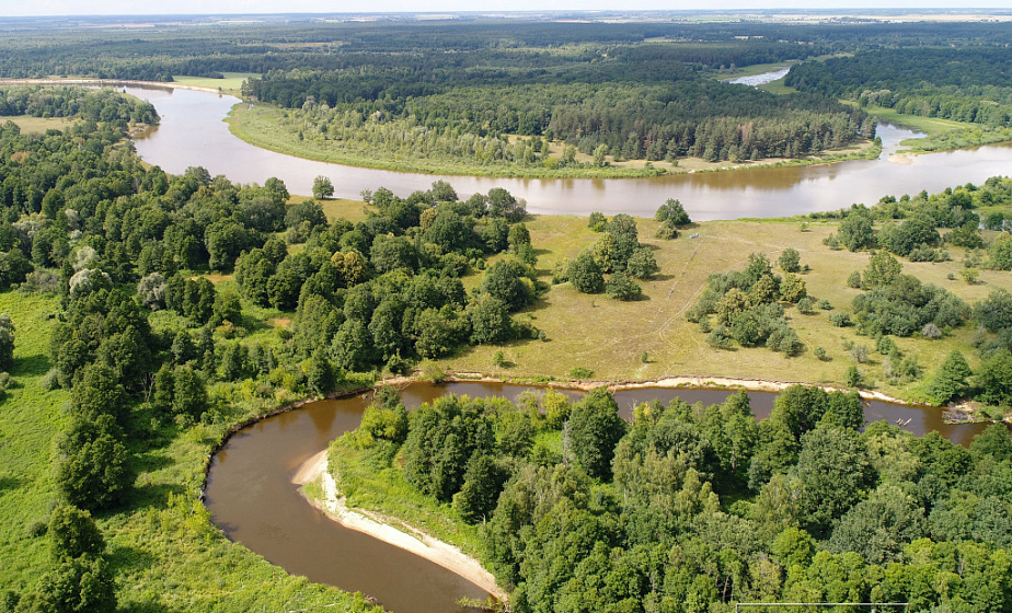 Ліпічанская пушча, заказнік