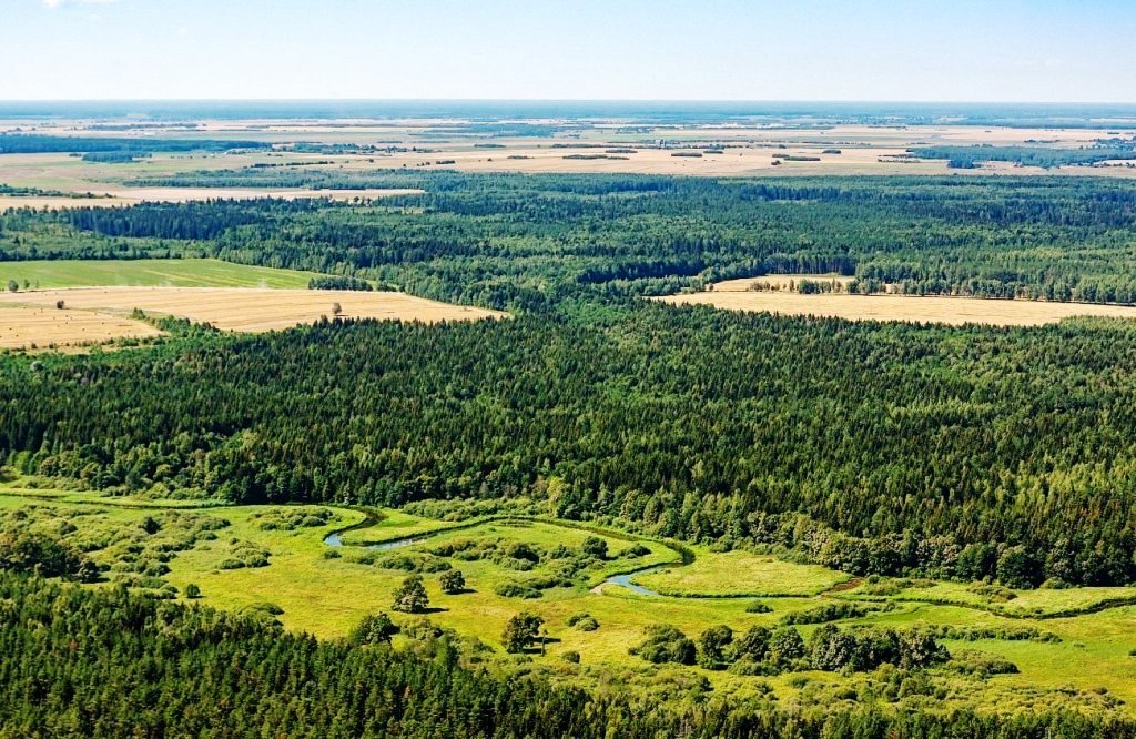 Старыца, заказнік