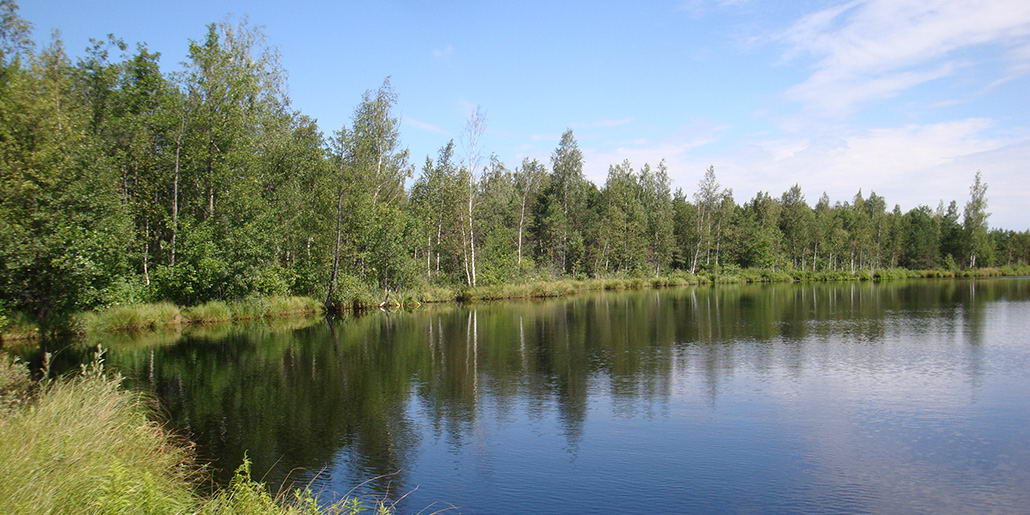 Сялява, заказнік