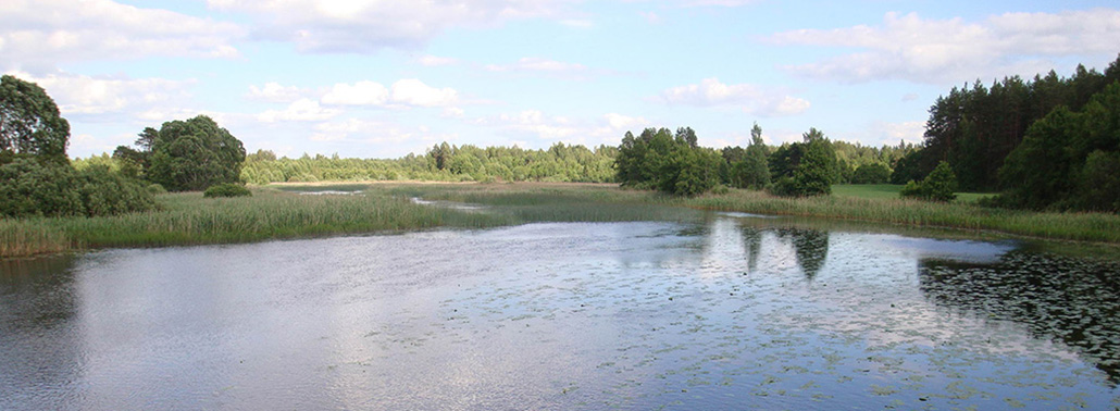 Сіньша, заказнік