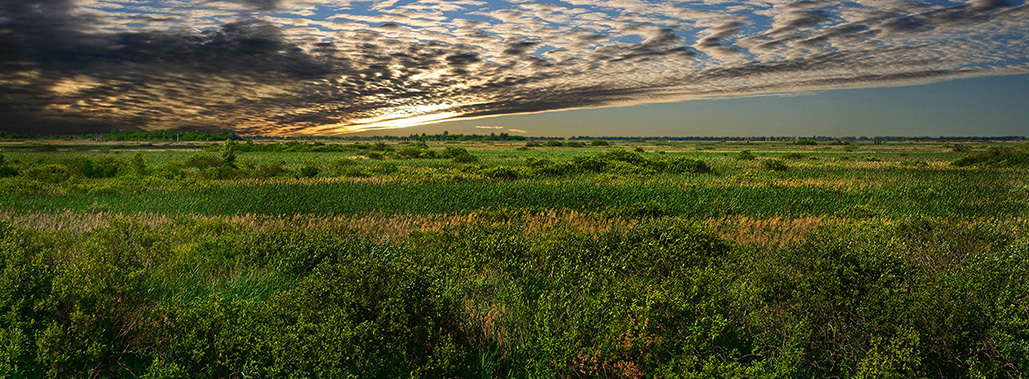 Званец, заказнік