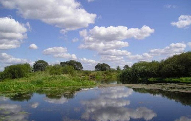 Амяльнянскі, заказнік