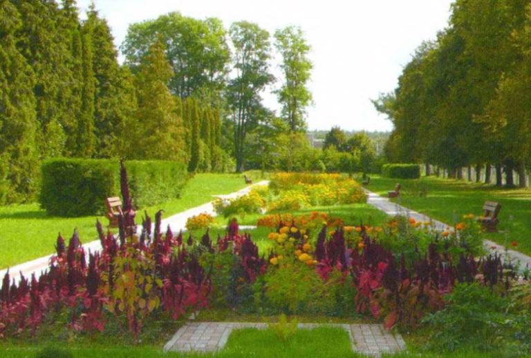 Батанічны сад Беларускага дзяржаўнага тэхналагічнага ўніверсітэта