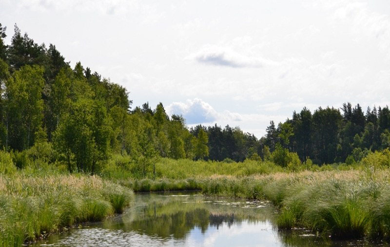 Ялоўскі, заказнік