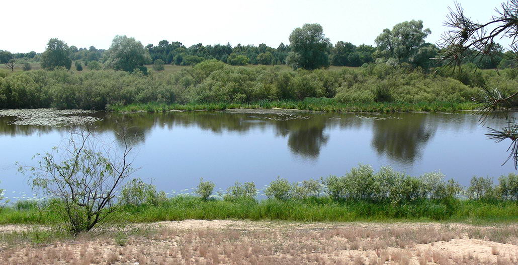 Выдрыца, заказнік