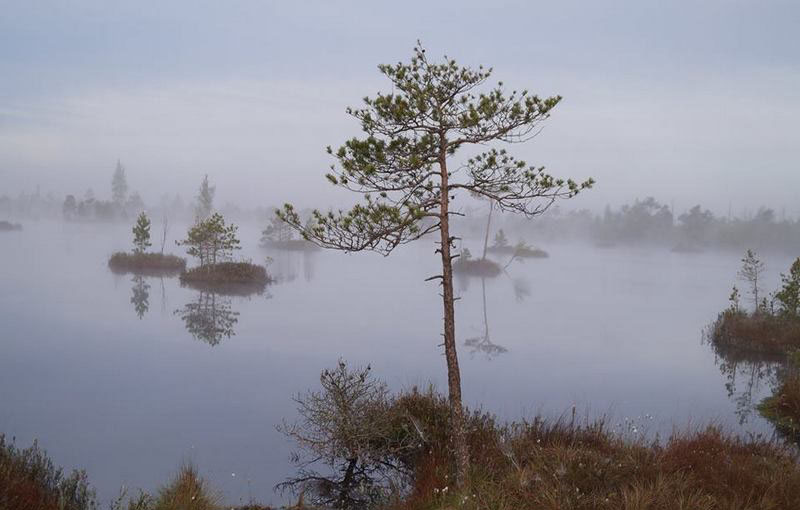 Бабінавіцкі, заказнік