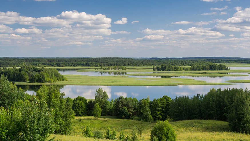 Валмянскі, заказнік