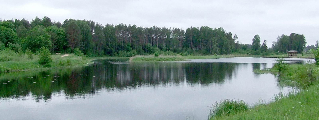 Гродзенская пушча, заказнік