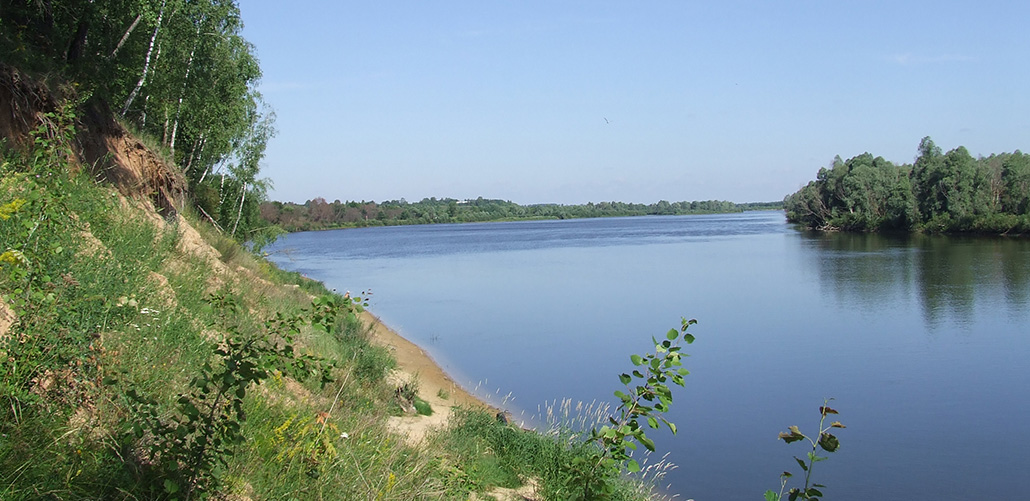 Днепра-Сожскі, заказнік