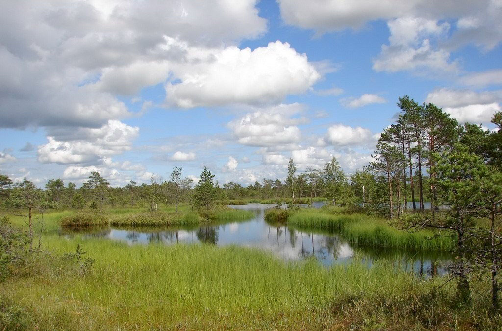 Запольскі, заказнік