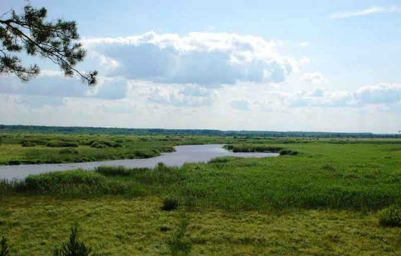 Копыш, заказнік