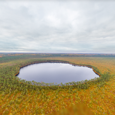 Карыценскі Мох, заказнік