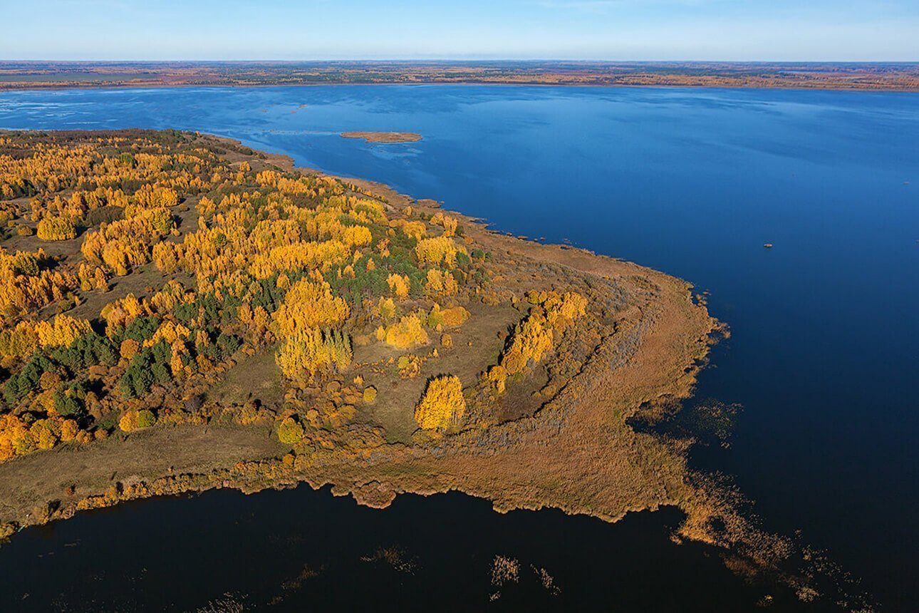 Асвейскі, заказнік