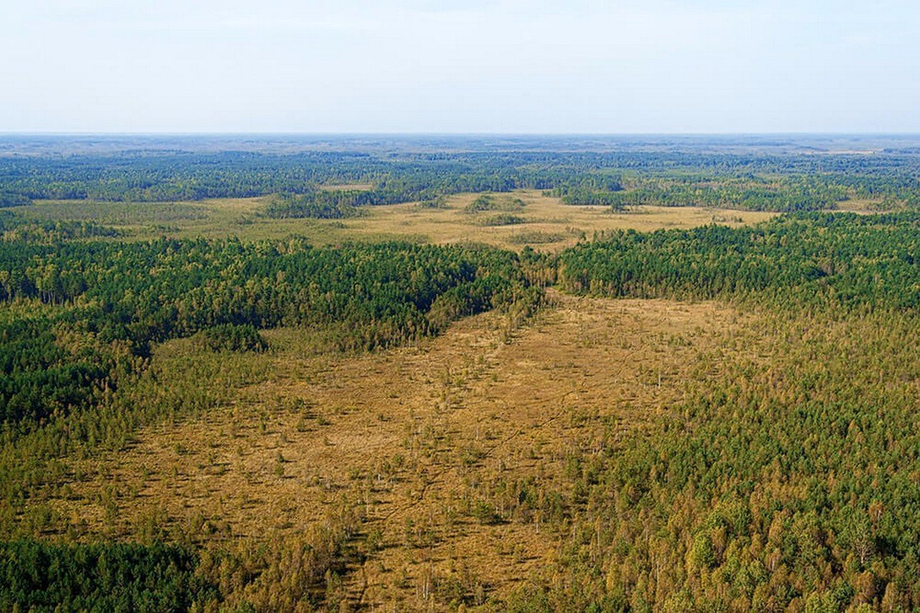 Падвялікі Мох, заказнік