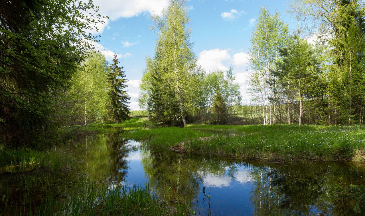 Прылуцкі, заказнік