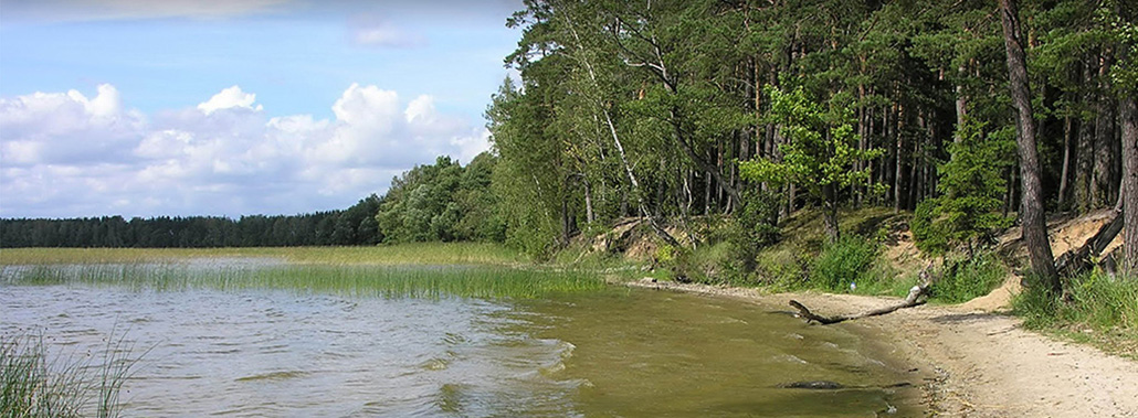 Рычы, заказнік
