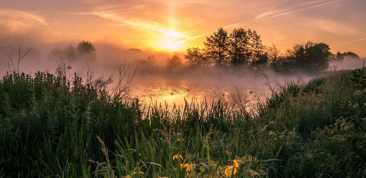 Чэрнеўскі, заказнік