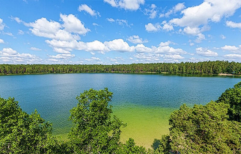 Чыркавіцкі, заказнік