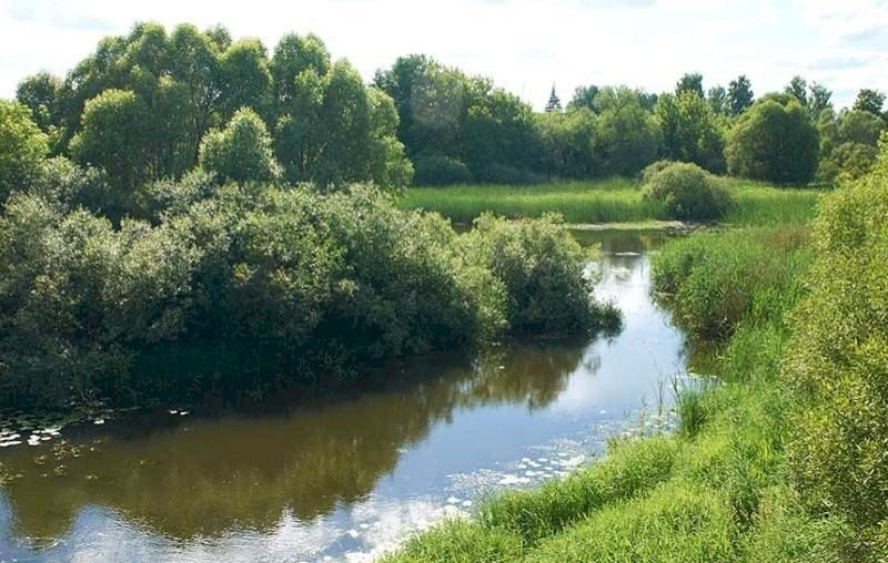 Веткаўскі, заказнік