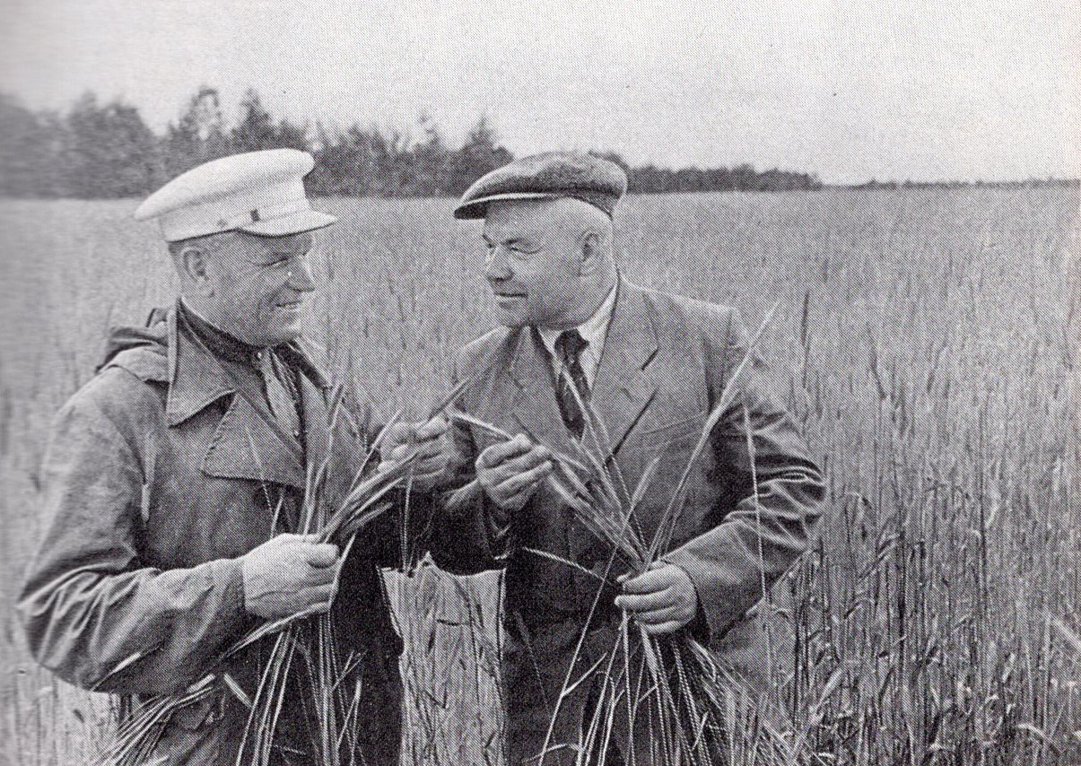 Жыныстық қатынас жоқ, әйелім үнемі шаршадым немесе ұйықтағысы келеді деп айтады.