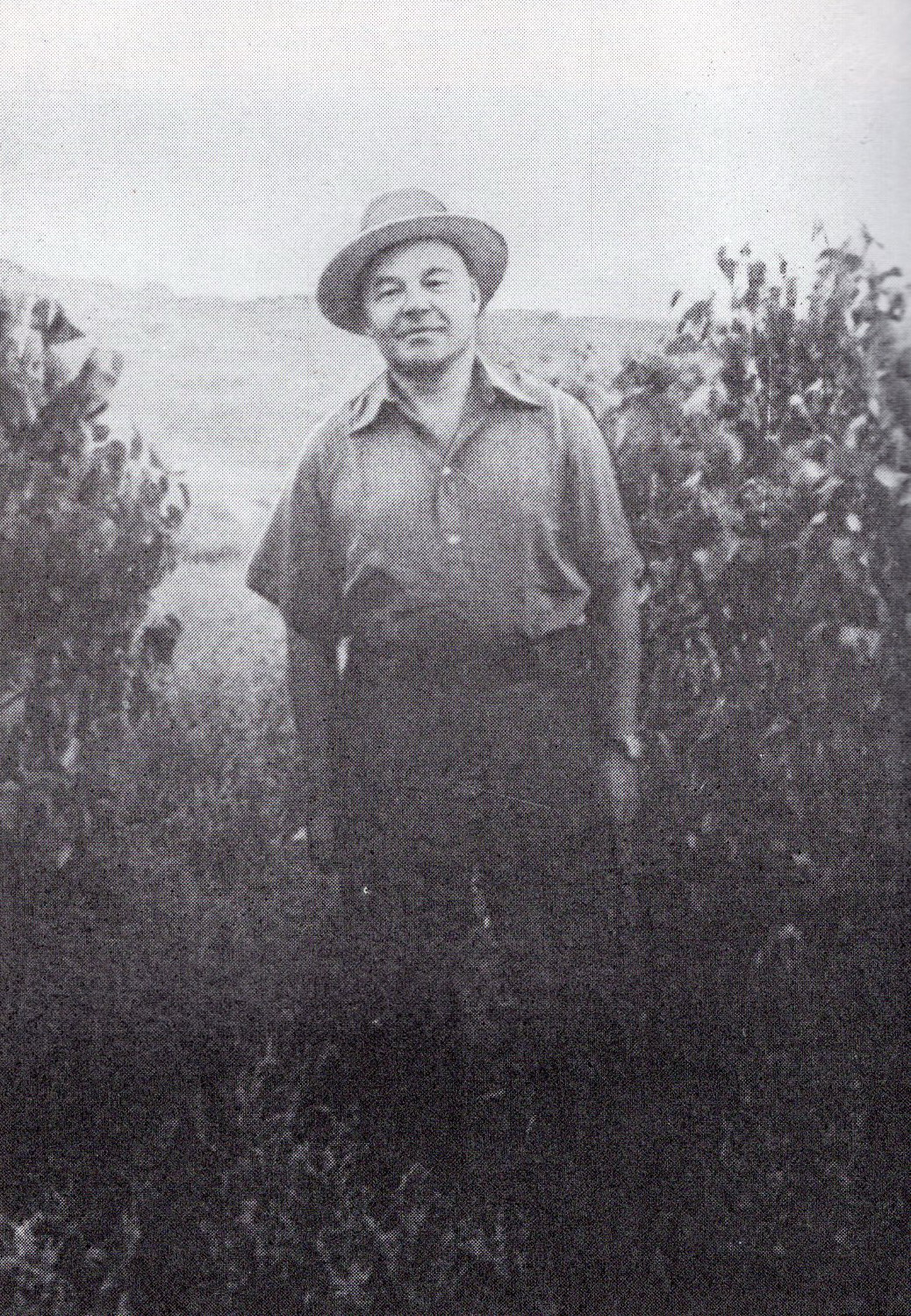 Піліп Пестрак у час адпачынку (Адэса, 1952). Крыніца ілюстрацыі: Збор твораў : у 5 т. / Піліп Пестрак ; рэдкалегія: Барысенка В. В. і інш. ; [аўтар прадмовы, с. 6–22, К. Р. Хромчанка ; Акадэмія навук БССР, Інстытут літаратуры імя Я. Купалы]. – Мінск, 1985. – Т. 3 : Сустрэнемся на барыкадах, кн. 2 : раман. – Уклейка паміж с. 352–353.