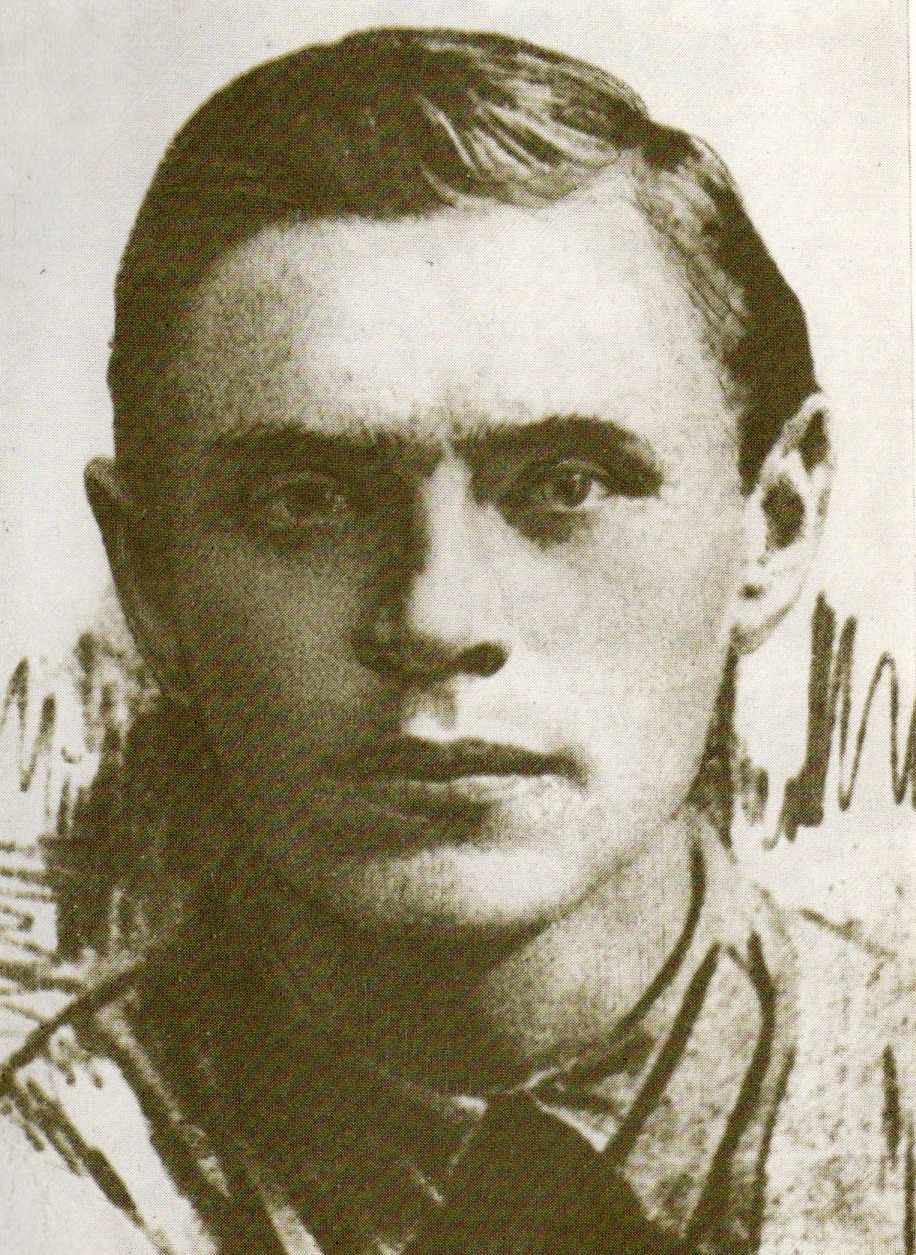 Міхась Зарэцкі. Крыніца ілюстрацыі: Збор твораў : у 4 т. / Міхась Зарэцкi ; рэдкалегія: C. А. Андраюк [i iнш.] ; прадмова, [с. 5–20], пасляслоўе М. І. Мушынскага. – Мінск, 1989. – Т. 2 : Голы звер: аповесць ; Сцежынкі-дарожкі: раман / уклад. і гіст.-тэкстал. камент. Э. А. Золавай. – Франтыспіс.