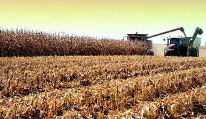 "Бабушкіна Падвор'е", ААТ