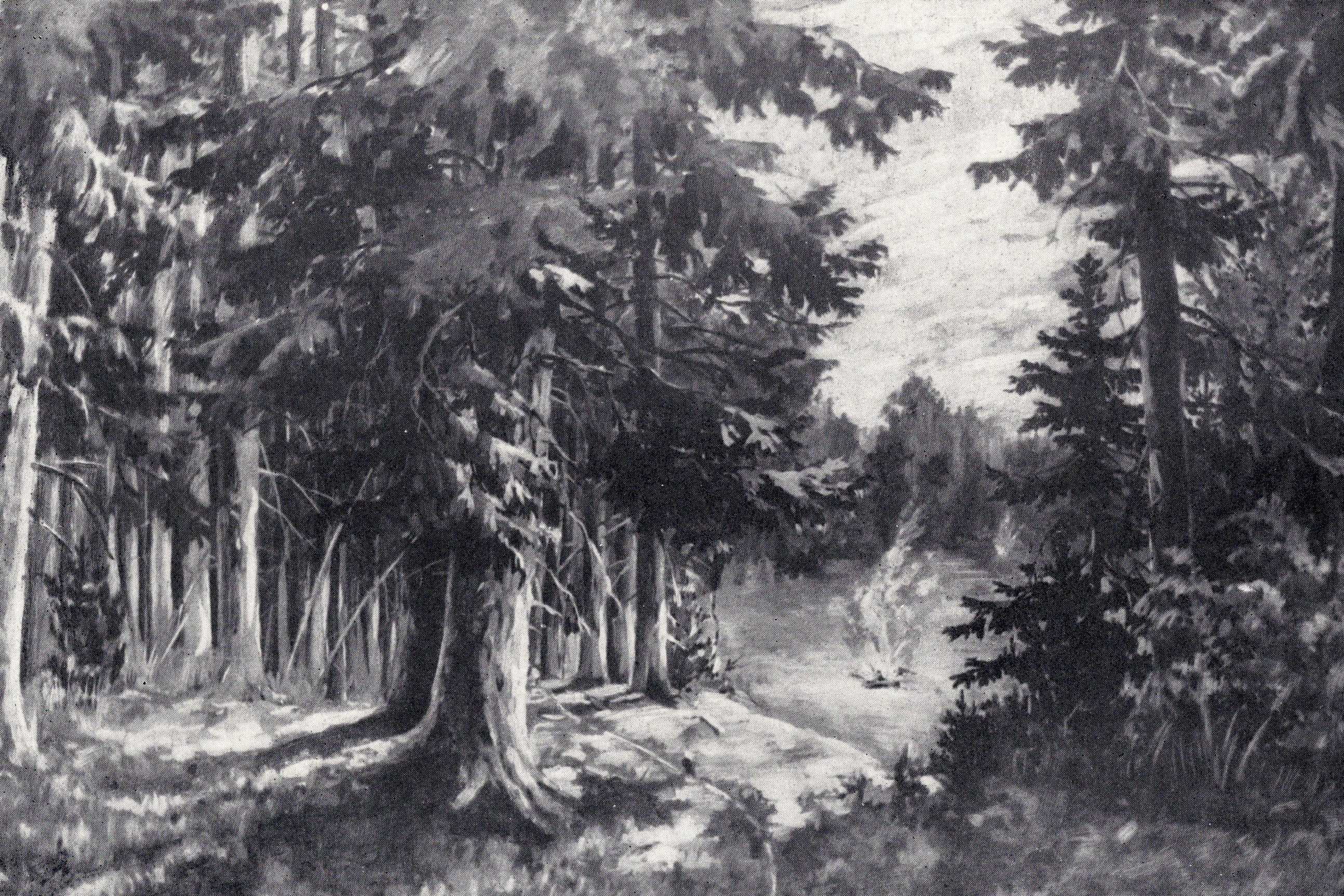 Санін Іван Андрэевіч