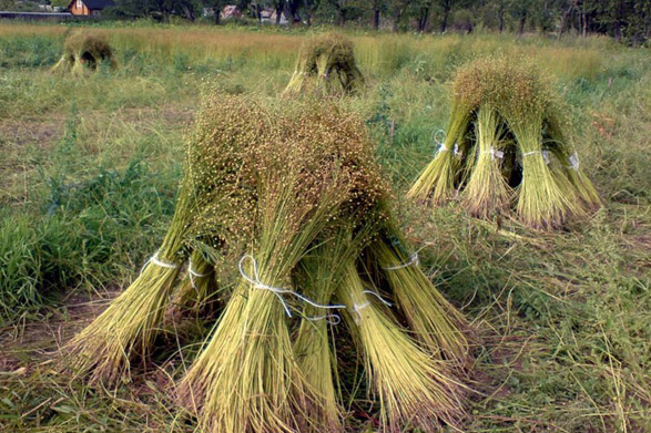 "Лідлён", ААТ