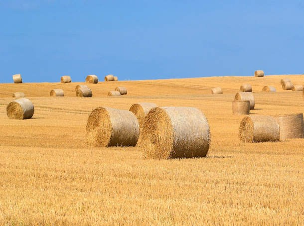 "Каплічы", ААТ