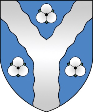 Жабінка, горад