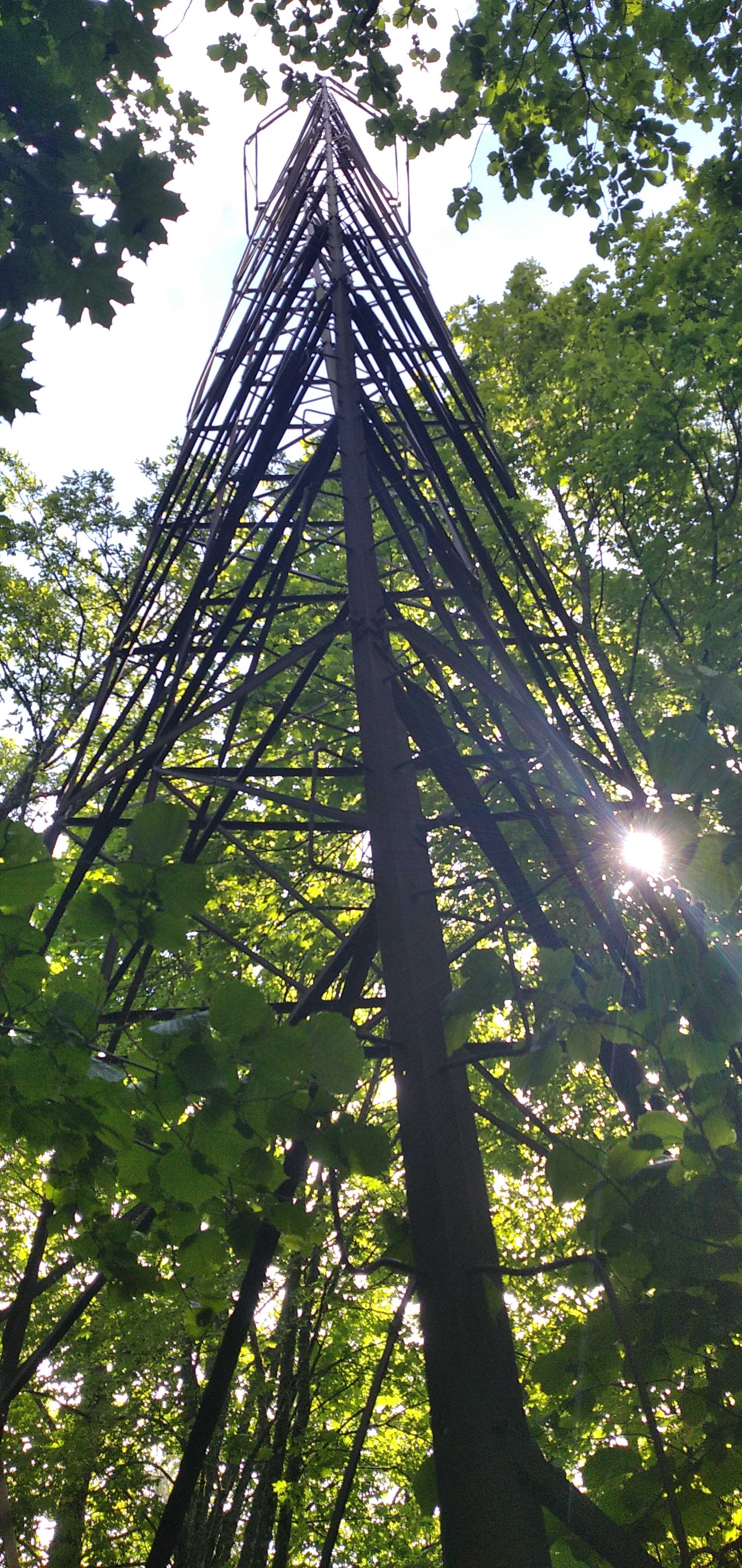 Геадэзічны пункт "Конрады" ў Астравецкім раёне Гродзенскай вобласці. Крынніца ілюстрацыі: https://heritage.gov.by/catalog/punkt-konrady