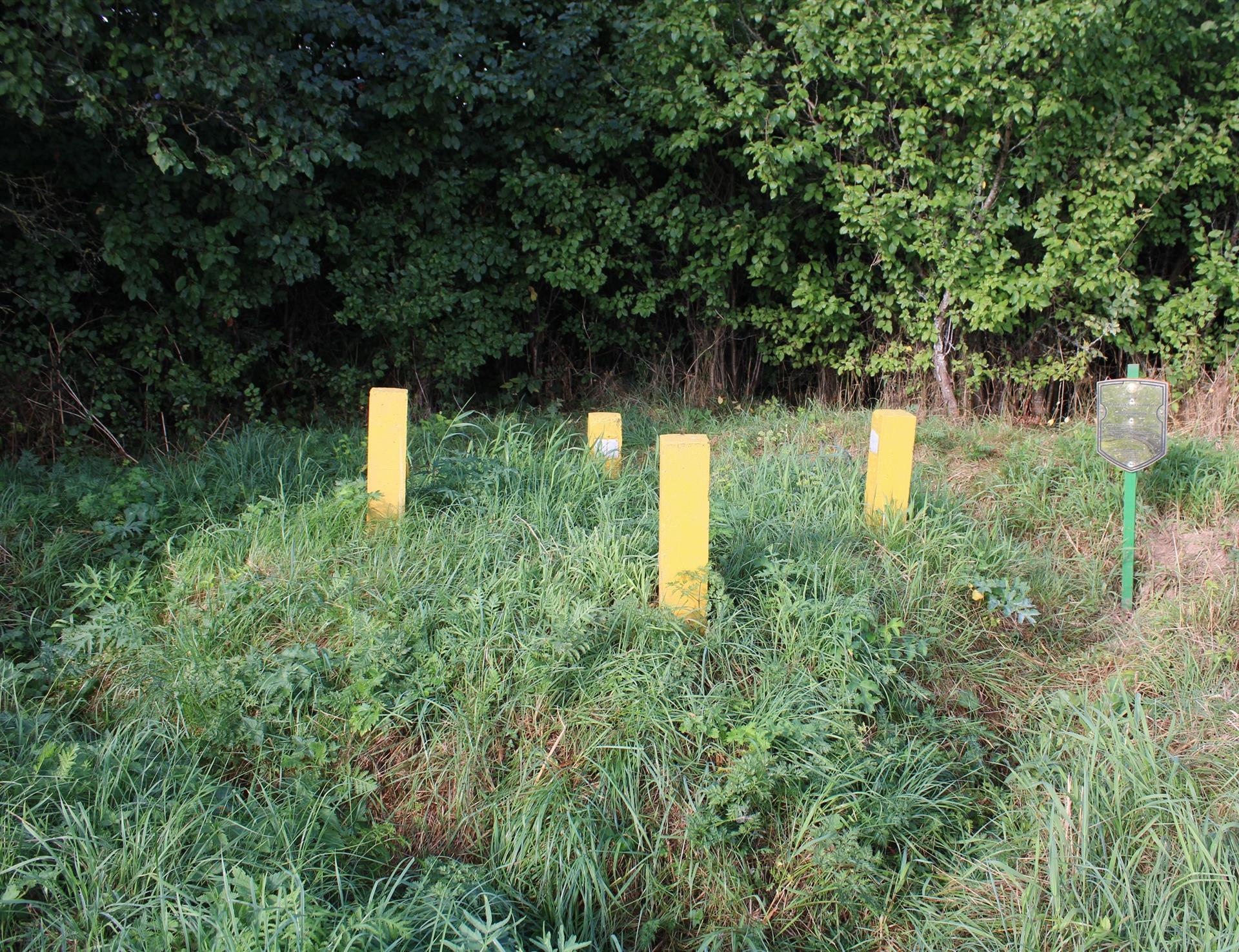 Геадэзічны пункт "Тарасаўцы" ў Дзятлаўскім раёне Гродзенскай вобласці. Крыніца ілюстрацыі: https://heritage.gov.by/catalog/punkt-tarasautcy