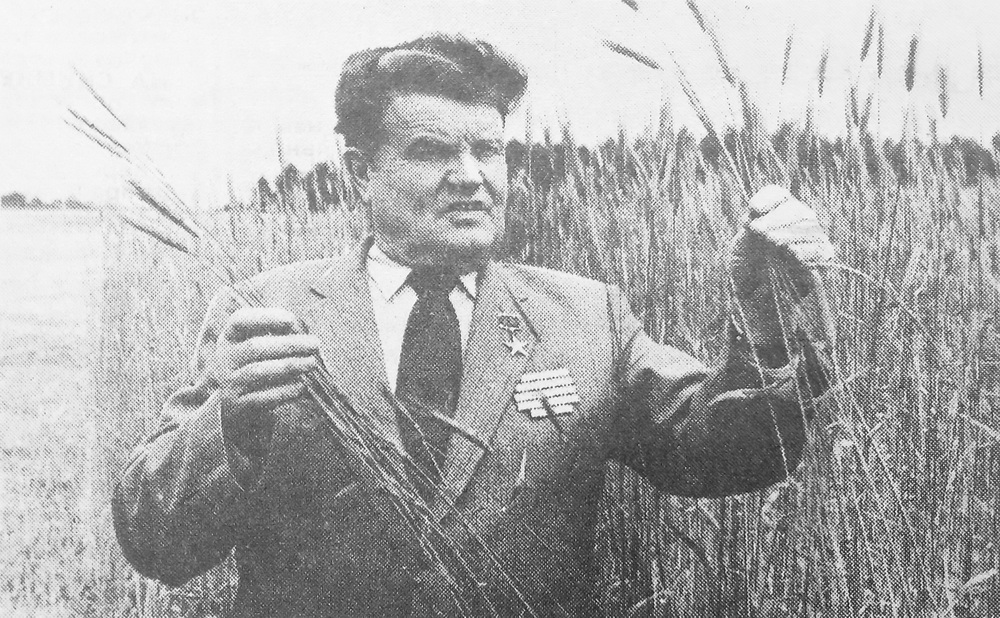 Гарнастаеў Уладзімір Савельевіч