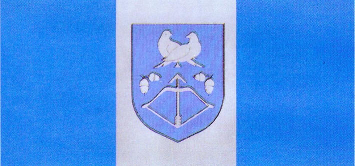 Сцяг Драгічына. Крыніца ілюстрацыі: Драгічынскі раён : мінуўшчына і сучаснасць. – Пінск, 2010. – С. 25.