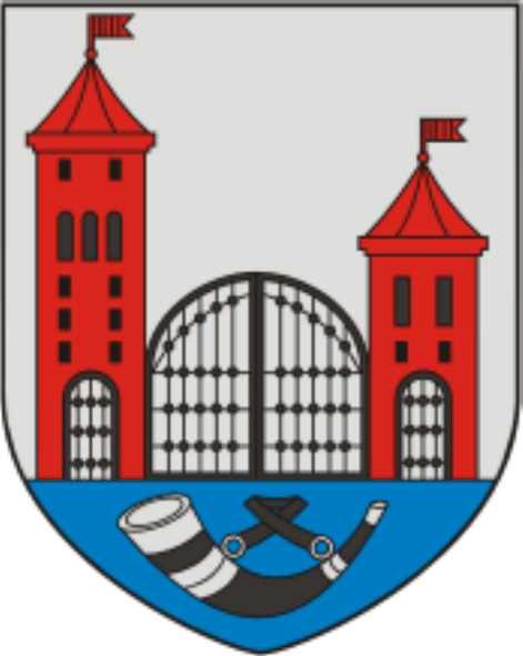 Скідзель, горад