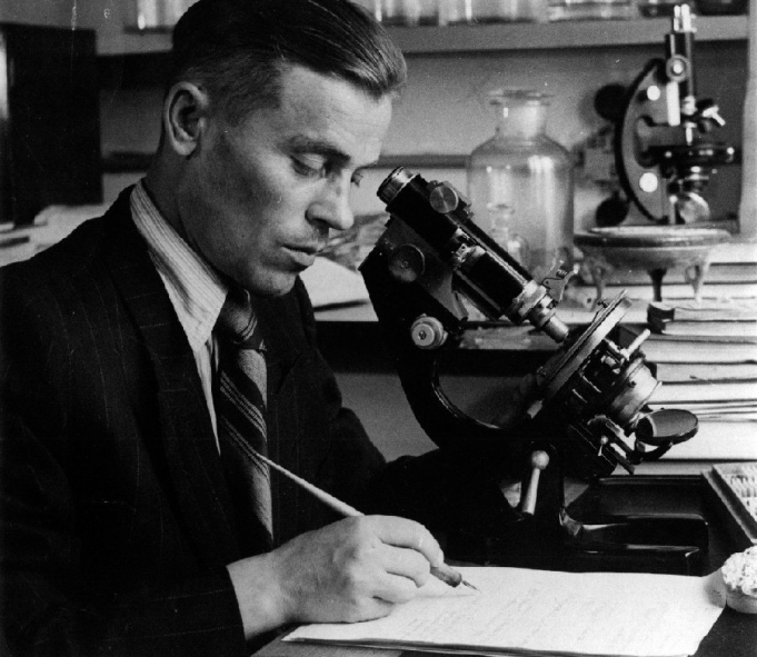 Махнач Аляксандр Сямёнавіч