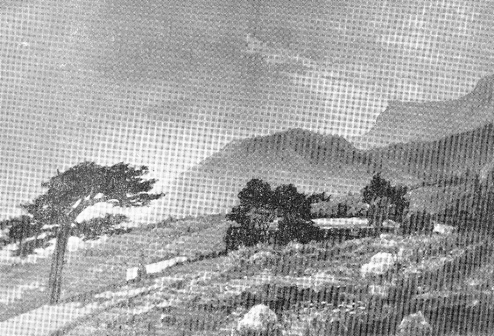 Мисхор. Верхняя дорога. Источник иллюстрации: Выставка живописи и резьбы по дереву Рыбальченко А.А., Столяров Д.В. : каталог / Республиканский Дом художественной самодеятельности Белсовпрофа. – Минск, 1972. – 19 с.